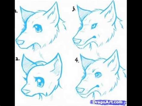 Straight in real life (though k9man is belly attracted. How to Draw Anime Wolves - YouTube