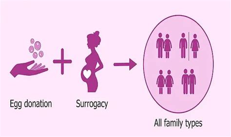 Commercial Surrogacy And The Regulation Bill Law Times Journal