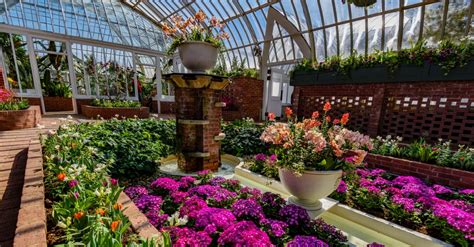 This Week At Phipps March 12 18 Phipps Conservatory And Botanical