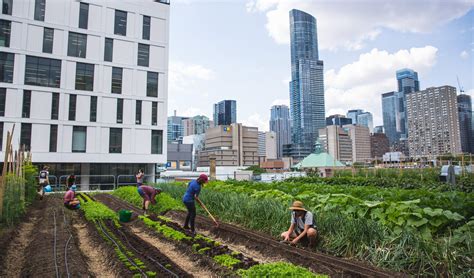 Usda Launches Inaugural Urban Agriculture Grants Program National