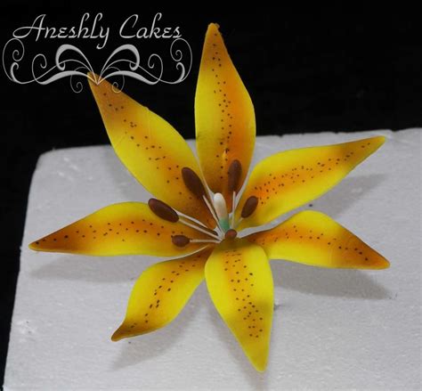 Check spelling or type a new query. Edible flower. | Edible flowers, Colorful flowers, Flower ...