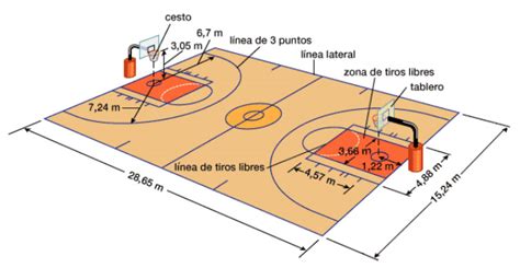 Las Medidas Dela Cancha De Basquetbol Imagui