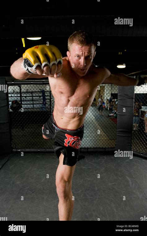 Mixed Martial Arts Athlete At The Gym Stock Photo Alamy