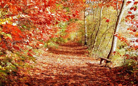 Wallpaper Super Autumn Scenery Wallpapers