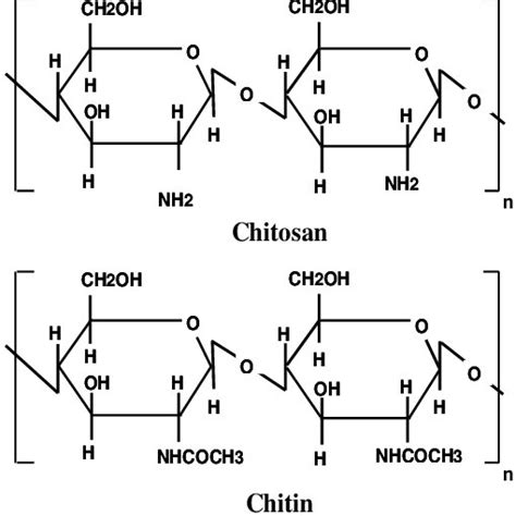 Schematic Structures Of Chitosan And Chitin Download Scientific Diagram