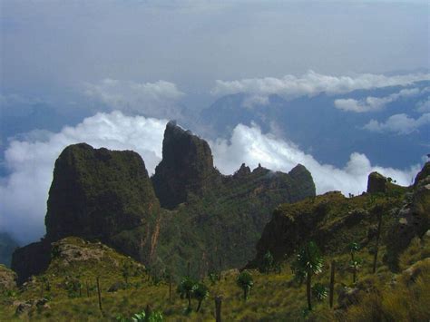 Tour To Bale Mountains National Park Scenic Ethiopia Tours