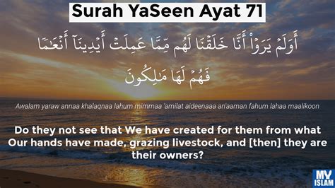 Surah Yaseen Ayat 71 3671 Quran With Tafsir My Islam