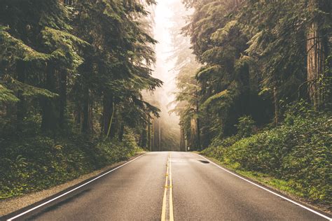 Ignite Your Wanderlust With 100 Images Of The Open Road The