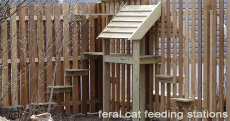 Feral Cat Feeding Stations And Steps So They Can Get In And Out Of The