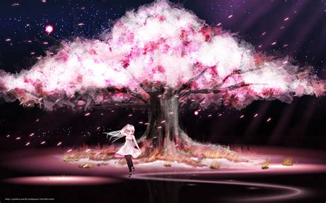47+ Sakura Desktop Wallpaper on WallpaperSafari