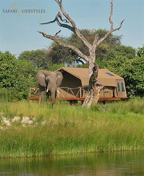 Tent Reviews Game Lodge Safari Adventure Save The Elephants Tent