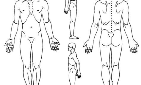 Blank muscles diagram to label google search. Pin On Body Diagram regarding Blank Body Map Template ...