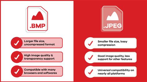 Bmp Vs Jpeg Which Format Is Best For You Proshot Media