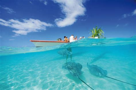 Book Moorea Pearl Resort And Spa Moorea French Polynesia