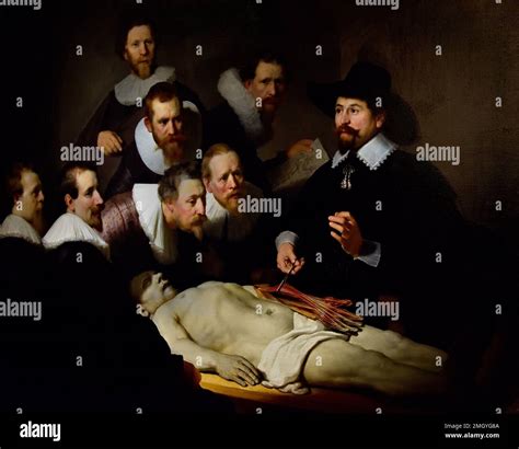The Anatomy Lesson Of Dr Nicolaes Tulp 1632 Rembrandt Rembrandt
