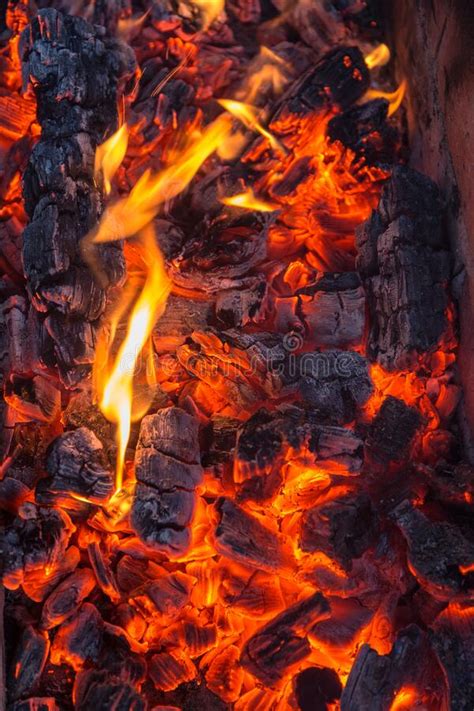 Burning Firewood Closeup Stock Image Image Of Abstract 169995735