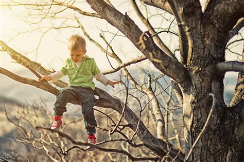 The Reason Kids Climb Trees The Wisdom Daily