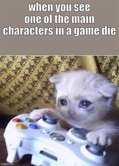 Sad Gaming Cat Memes Imgflip