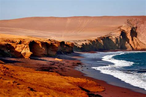 From Paracas Ballestas Islands And Paracas National Reserve Getyourguide