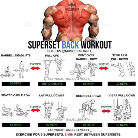 Superset Back Workout Backexercise Bodybuilding Workouts Fun