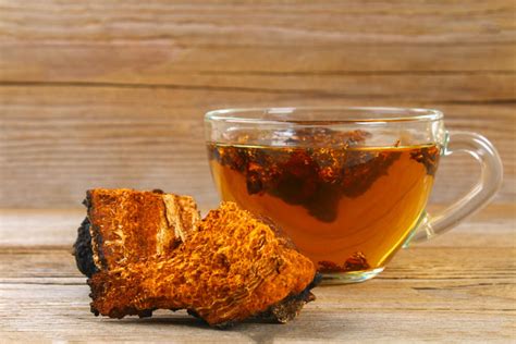 Here is a video showing you how to make chaga tea chaga chunks & powders for the best tea. 5 Chaga Tea Benefits: Uses And Recipe | How To Cure