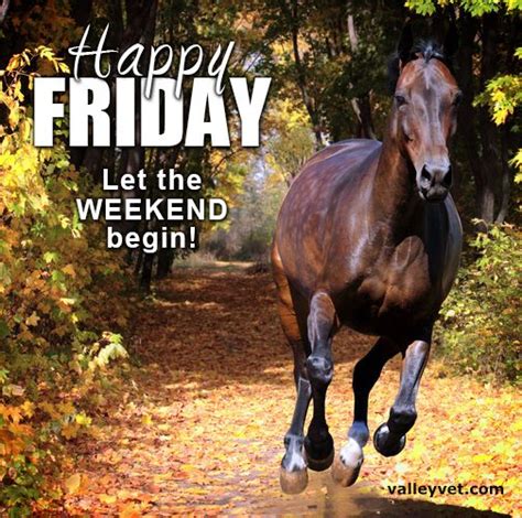 Happy Friday Horse Sayings Pinterest Happy Friday And Happy