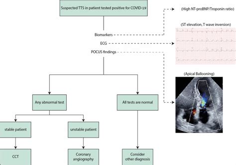 Figure 1 From Stress Induced Cardiomyopathy—considerations For