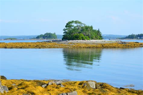 Little French Island In Maine Stock Image Image Of Downeast Views