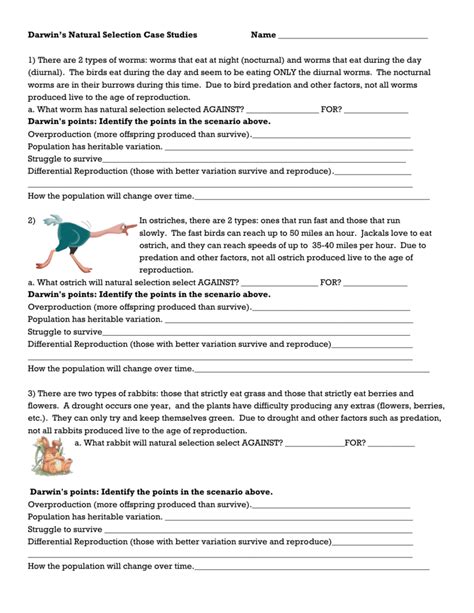 Natural And Artificial Selection Answer Key : Natural Selection Gizmo