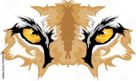 Cougar Eyes Mascot Graphic Buy This Stock Vector And Explore Similar