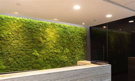 Why Biophilic Office Designs Work Well As Office Decor Ideas?