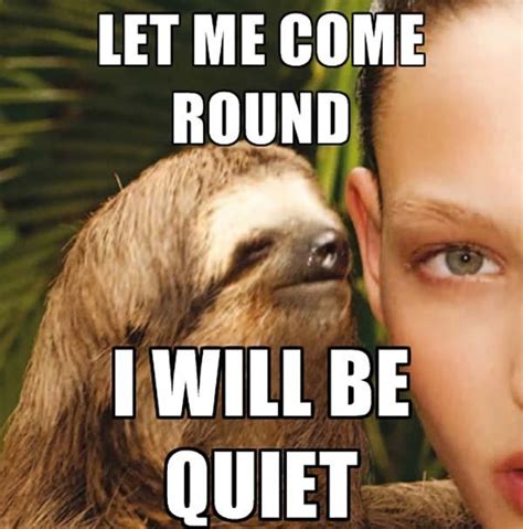 40 Best Sloth Meme Meme Central