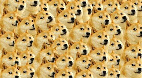 23 Doge Meme Wallpaper Pc
