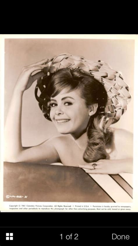 Deborah Walley Gidget Deborah Walley Photo 37231234 Fanpop