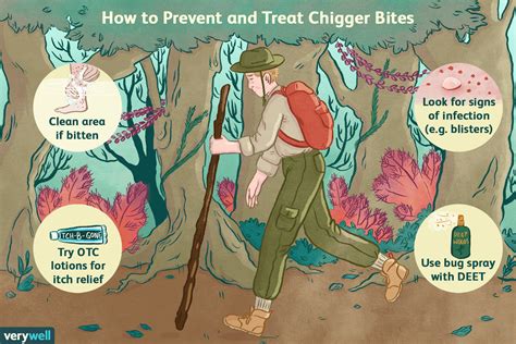 While a tetanus immunization is good. Flea And Tick Bites On Humans Treatment | Mice