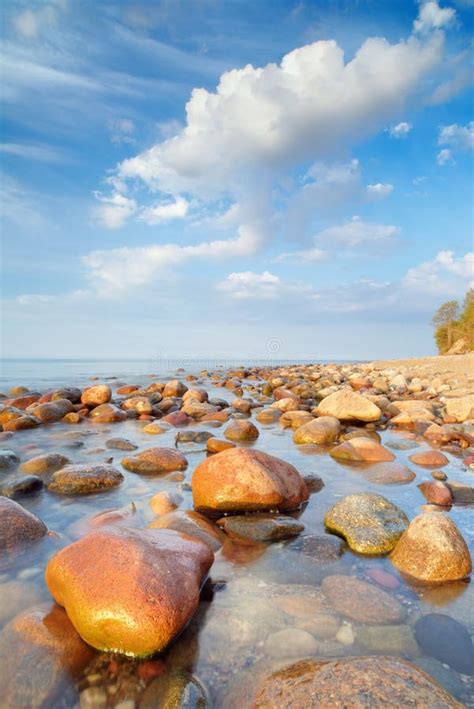 Beautiful Stones In The Ocean Baltic Sea Coast Stock Image Image Of