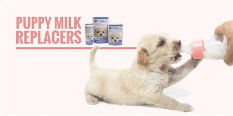 Fast & free shipping · guaranteed lowest prices Top 5 Best Puppy Milk Replacers — Powder, Liquid, Goat's Milk!