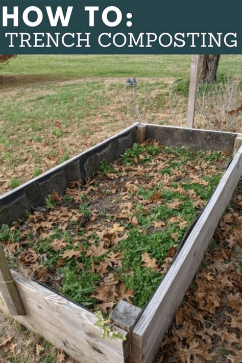 How To Trench Compost In A Raised Garden Bed