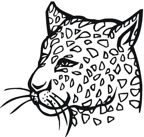 A Cheetah Face Coloring Page Download Print Or Color Online For Free