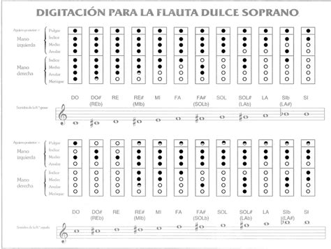 Profesor De Música Roberto G Cioffi Notas De Flauta Dulce Soprano