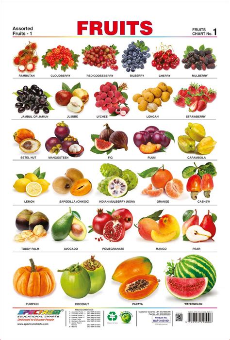Spectrum Pre School Kids Learning Laminated Educational Fruits Name