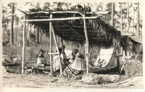 Seminole Indian Camp Everglades Fl Postcard