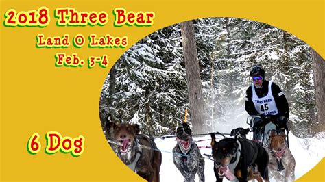 2018 Three Bear 6 Dog Sled Dog Race Youtube