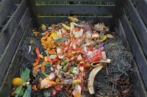 Certain foods can increase the likelihood of heart disease, while others can decrease the risk. Food Waste | The Nutrition Source | Harvard T.H. Chan