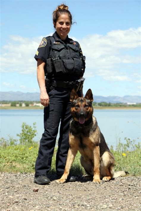 Larimer Sheriff K9 Gets Donation to Receive Body Armor
