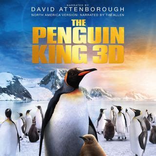 Bit.ly/sxaw6h subscribe to coming soon: Adventures of the Penguin King (2013) Pictures, Trailer ...