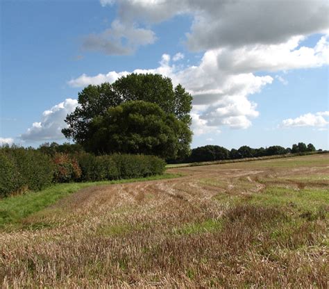 Trees In Field Boundary Hedge © Evelyn Simak Cc By Sa20 Geograph