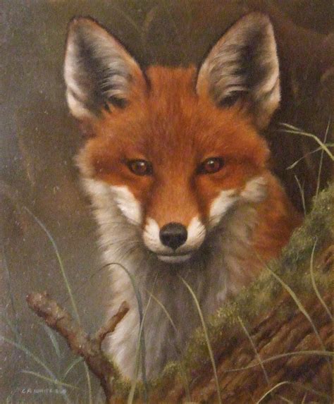 E Stacy Marks Exhibitions Fox Painting Wildlife Artists Fox