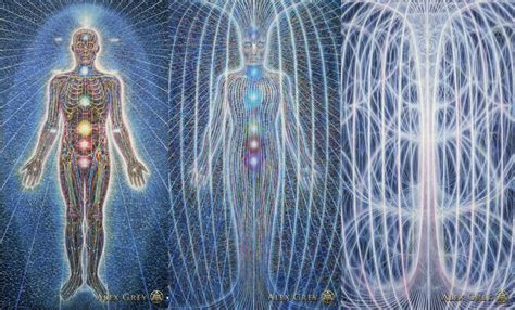 Physical To Light Body To Crystal The Bodys Ascension From 3d To 8d