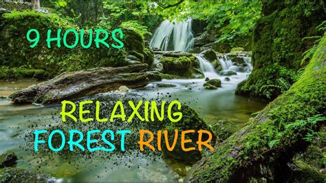 Calm River Sounds For Sleeping 9 Hours Free Relaxing Nature Peaceful